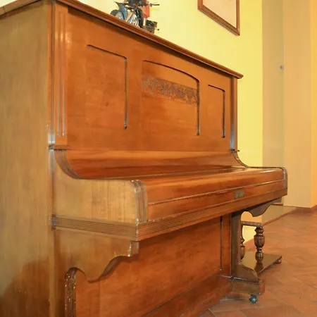 Oasi Neumann 3* Кортона