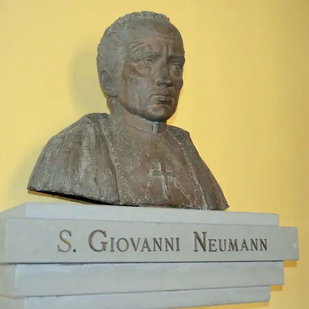 Отель Oasi Neumann 3*